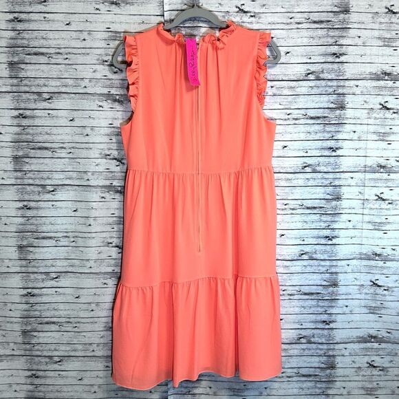 Lilly Pulitzer Jazzy Dress - Picture 4 of 11